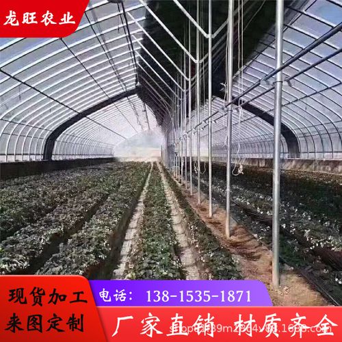 农业蔬菜大棚温室镀锌管q235蔬菜大棚建设蔬菜种植采摘大棚